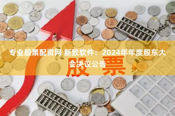 专业股票配资网 新致软件：2024年年度股东大会决议公告