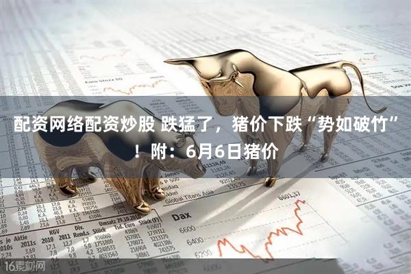配资网络配资炒股 跌猛了，猪价下跌“势如破竹”！附：6月6日猪价